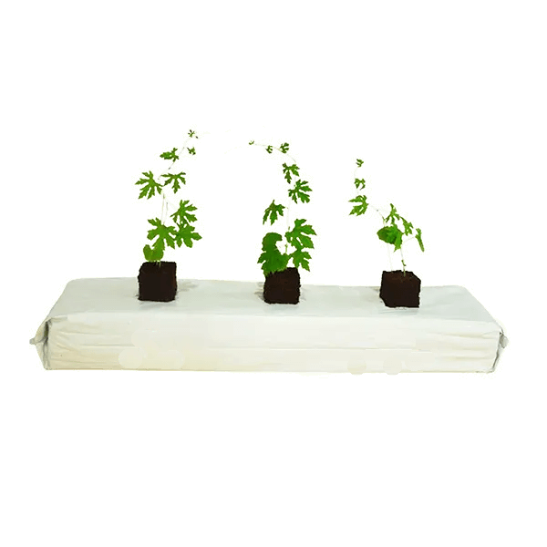 Hydroponic Cocopeat Grow Bags